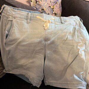 Torrid size 2 light blue denim shorts
